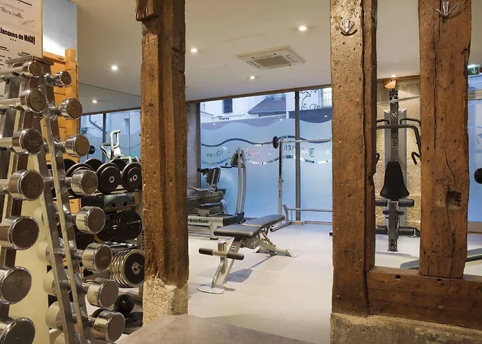 호텔 Jacques De Molay - Fitness & Sauna